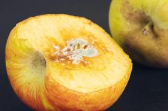 食物发霉，切掉坏的部分就能吃？小心“隐形杀手”！